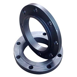 Carbon Steel Flange