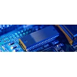 Polychlorinated Biphenyls (PCBs)