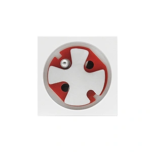 Sinoamigo F36-FS/French Socket 45°, Gangable With Tamperproof Insert