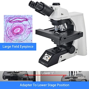 Research Scientific Laboratory Microscope, Motorized Nosepiece + XYZ Stage
