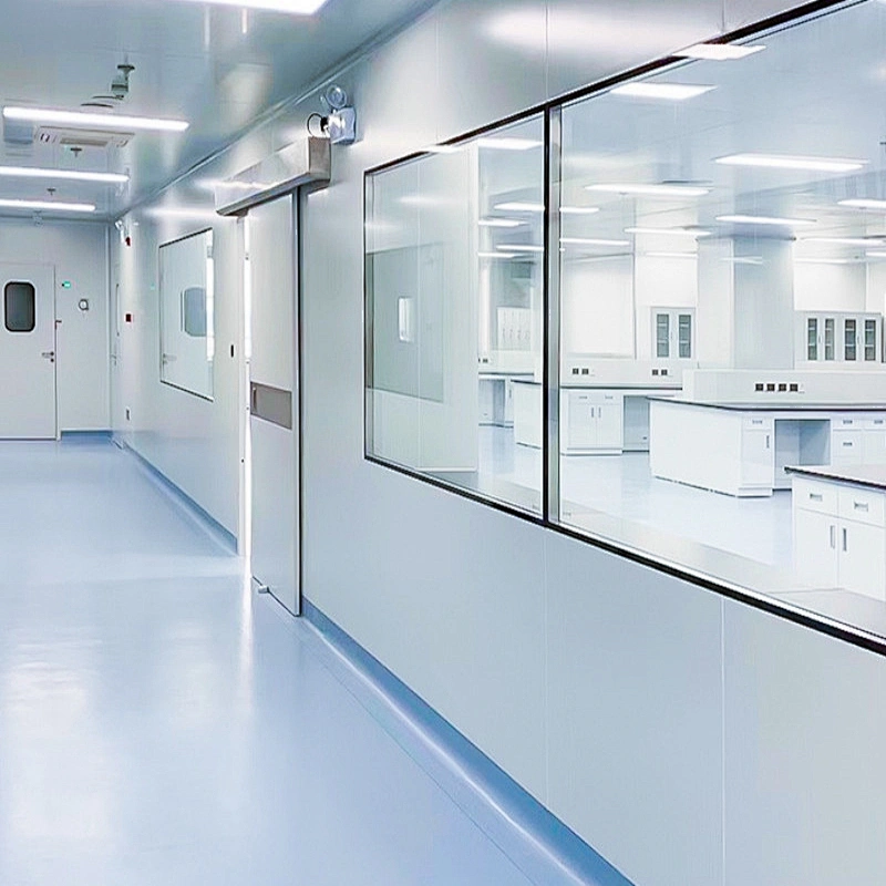 GMP Standard Cleanroom Purification Window for Cleanroom