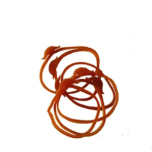 Multi Size Anchor Shape Wire Harness other Harness Natural Rubber Band Accessories
