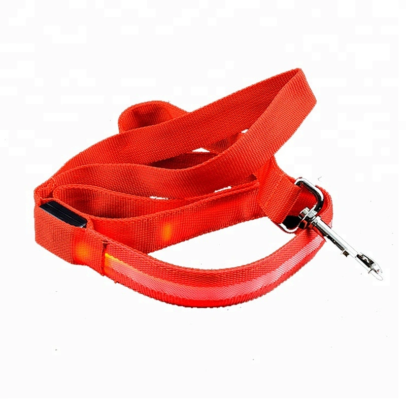 Safety LED Dog Collar USB Rechargeable with Water Resistant Flashing Light