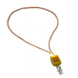 LED flashing lanyard