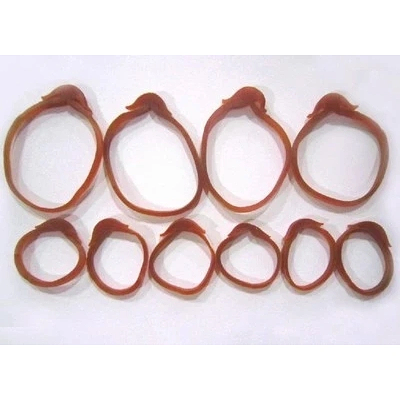 Multi Size Anchor Shape Wire Harness other Harness Natural Rubber Band Accessories