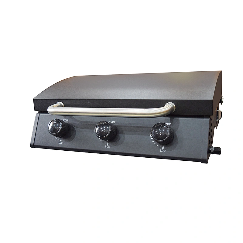 Outdoor Gas Grill BGG07