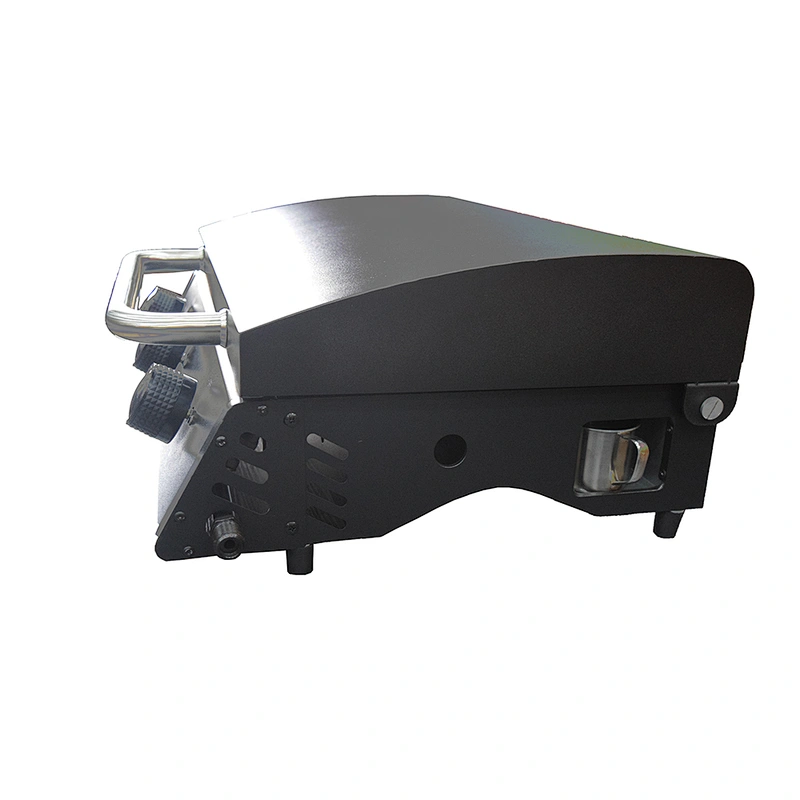 Outdoor Gas Grill BGG07