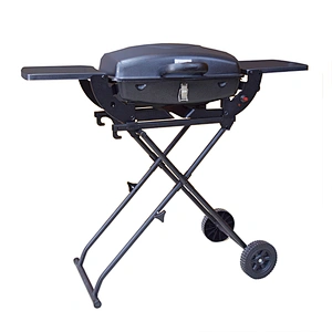Outdoor Gas Grill BGG01
