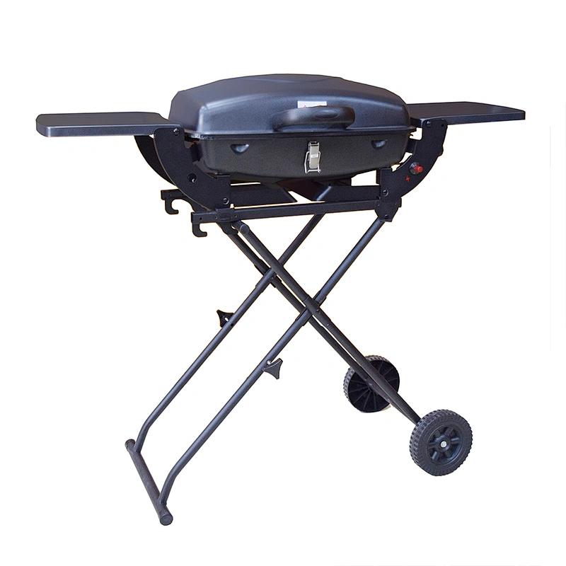 Outdoor Gas Grill BGG01
