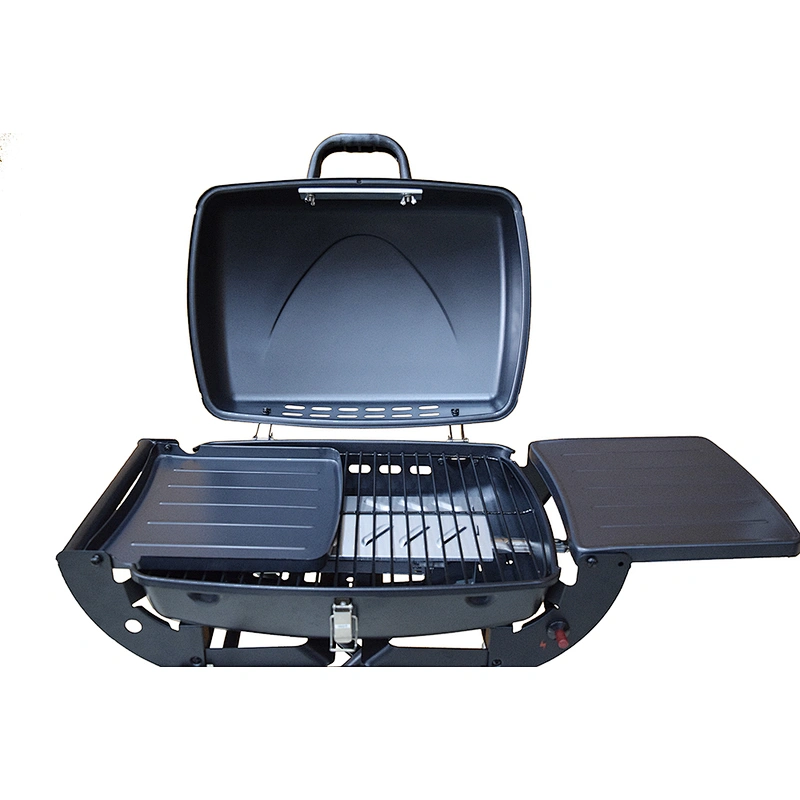Outdoor Gas Grill BGG01