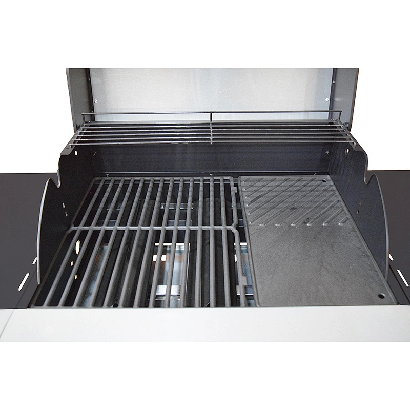 Outdoor Gas Grill BGG10