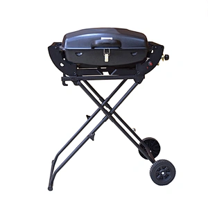 Outdoor Gas Grill BGG01