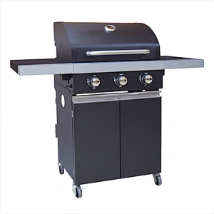 Outdoor Gas Grill BGG10
