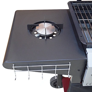 Outdoor Gas Grill BGG08