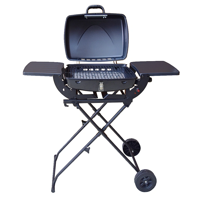 Outdoor Gas Grill BGG01