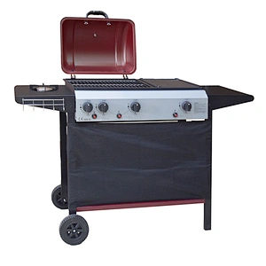 Outdoor Gas Grill BGG08
