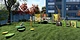 New Coming! Liben Dog Agility Playground