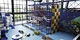 China Adventure Park Ropes Course