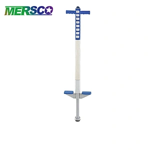 Pogo stick