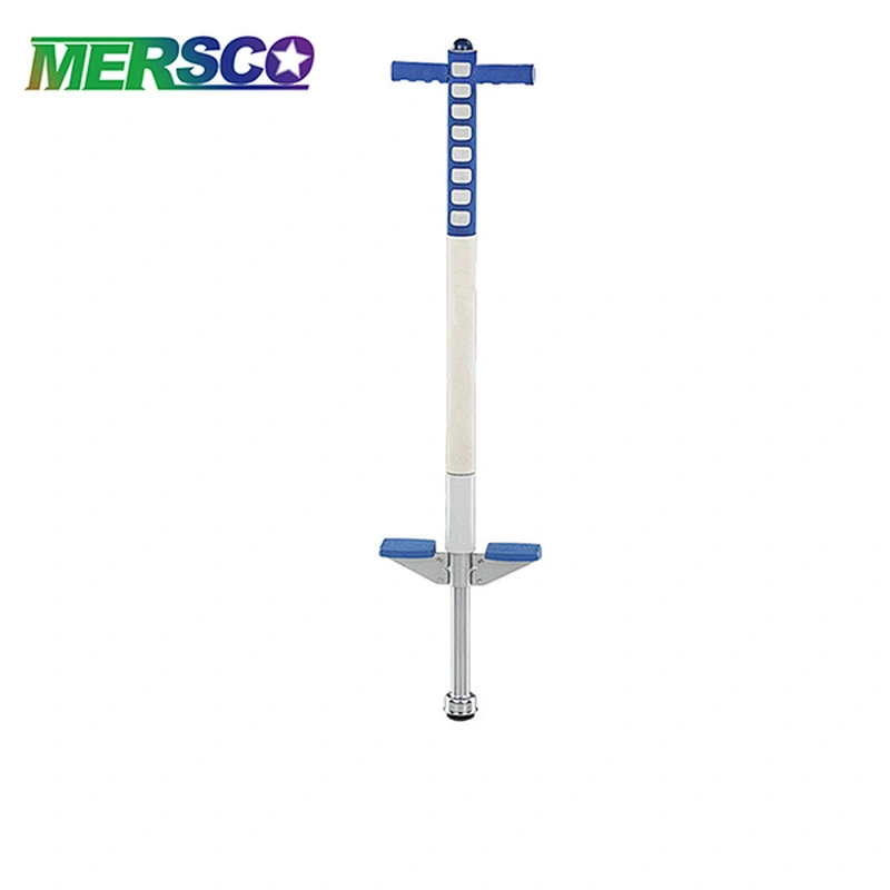 Pogo stick