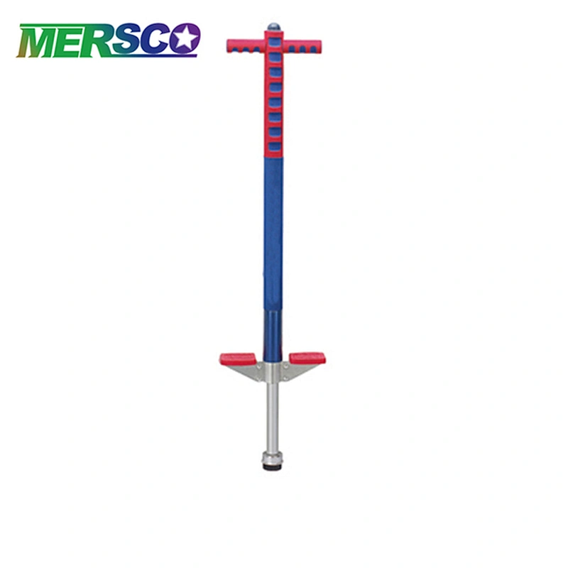Pogo stick