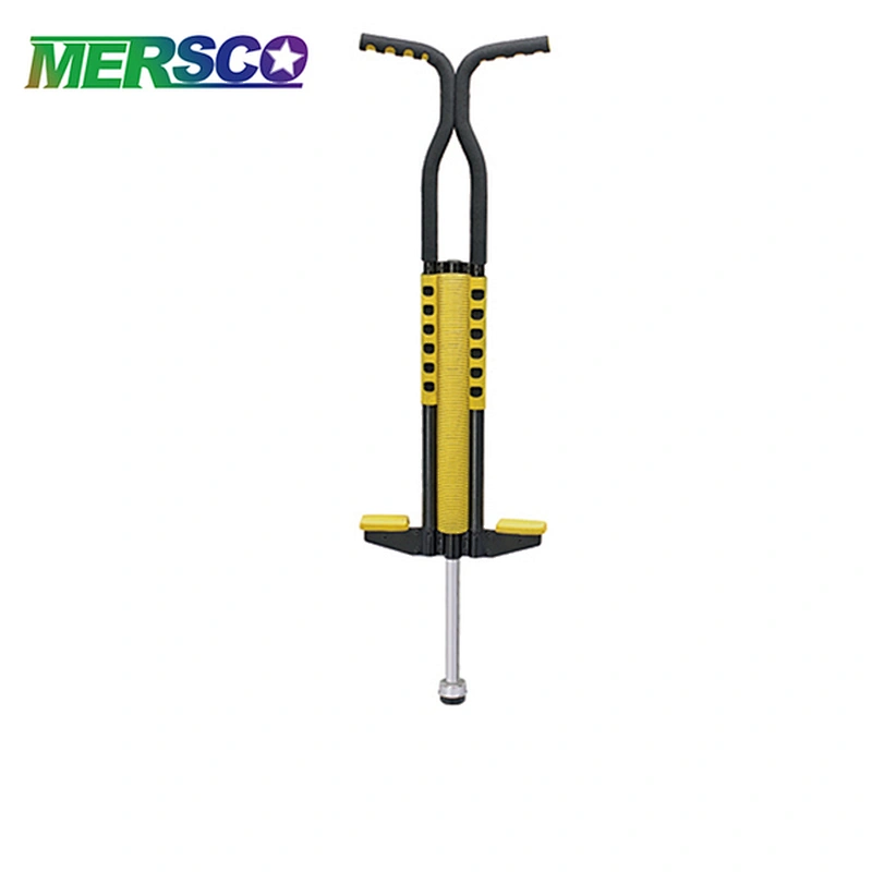Pogo stick