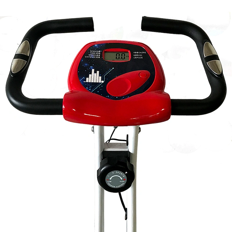 Bicicleta magnética