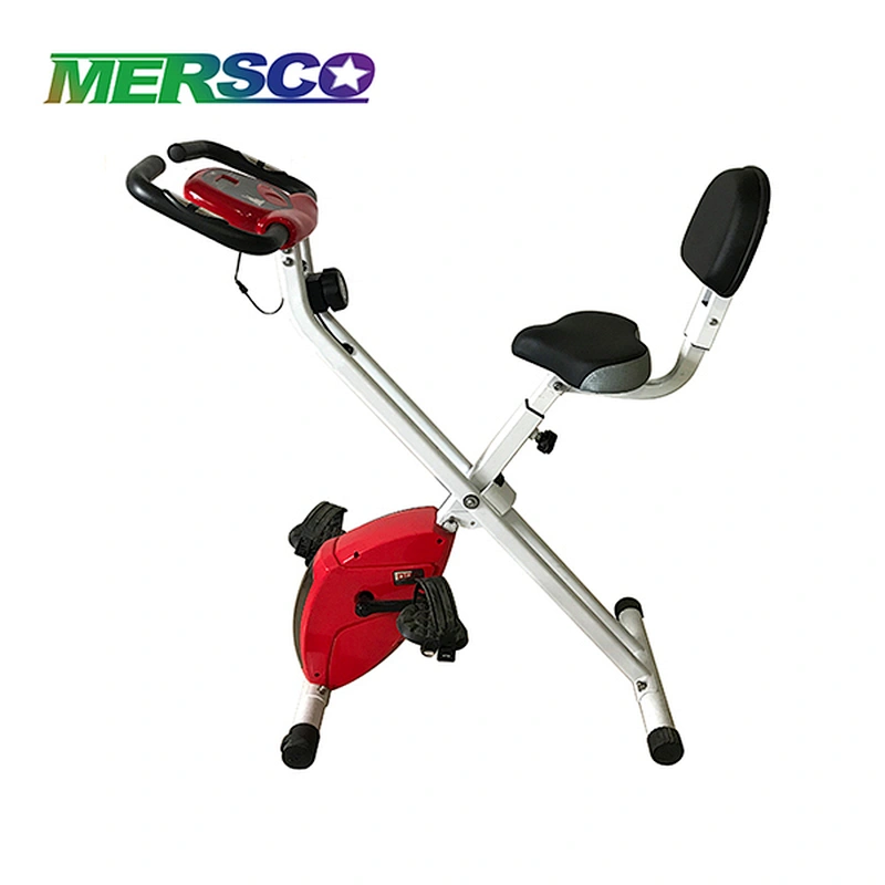 Bicicleta magnética