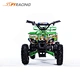 New 800W 36V kids Electric ATV Quad Bike newest