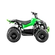 Hot Mini Electric ATV Electric Quad for Kids 800W Motor Power Battery Brush BIKE Brake Transmission 36V 12AH MAX Chain