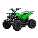 gasoline  ATV
