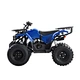 gasoline  ATV