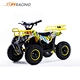NEW 1000W 800W 36V Mini Electric ATV Electric Quad for Kids