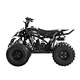 2023 New Adults Mini Sport Off Road ATV Motor 125cc 4x4 gas ATV 4-wheel quad