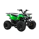 gasoline  ATV