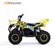 kids /children 4 wheel electric mini ATV 800w 36v electric ATV