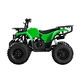 teens quad