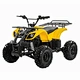 e-OX II 
Hot Sell 1200W 1500W 60V 4 Wheelers Electric ATV Quad For Adult