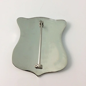 Boston police officer badge