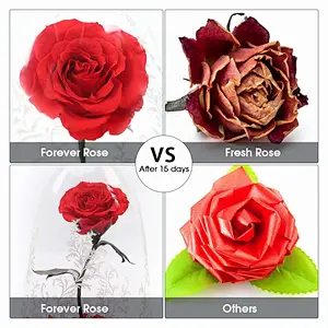 2018 Wholesale New Product Preserved Rose In Cloche Glass Dome With Wooden Base