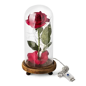 Red Rose in a Glass Dome on a Wooden Base