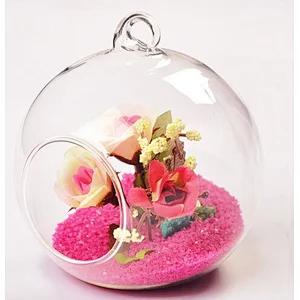 Hanging Glass Vase Plant Terrarium with Black or White Metal Stand