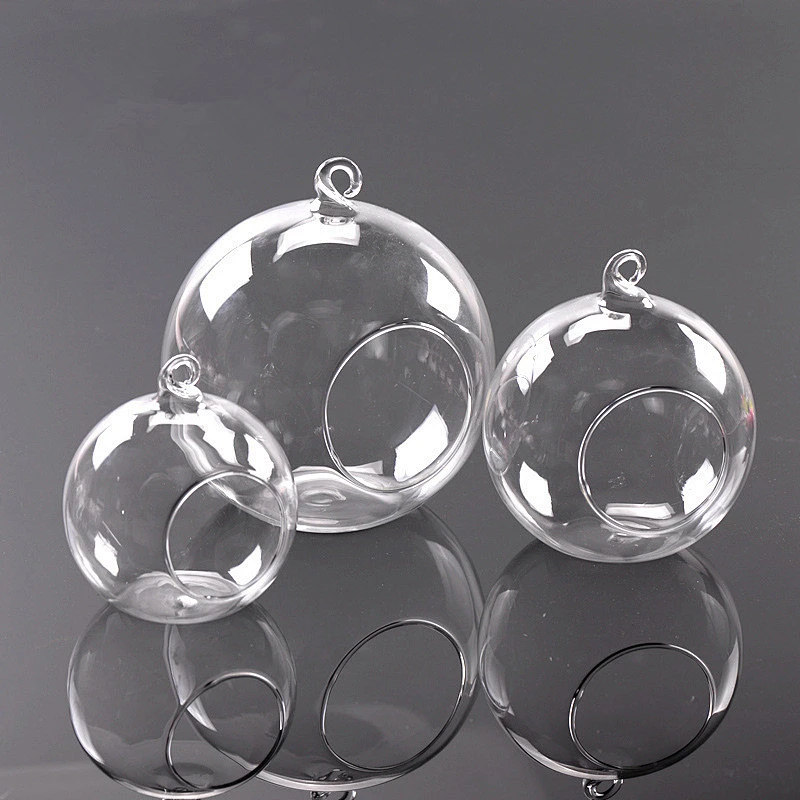 Hanging Glass Vase Plant Terrarium with Black or White Metal Stand