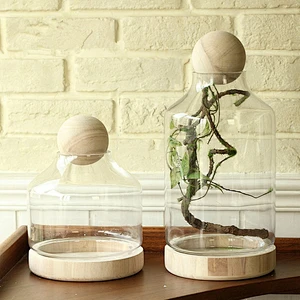 Transparent Glass Vase with Cement Bottom For Decoration