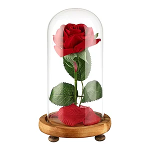 Red Rose in a Glass Dome on a Wooden Base