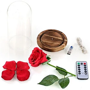 Red Rose in a Glass Dome on a Wooden Base