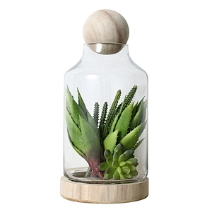 Transparent Glass Vase with Cement Bottom For Decoration
