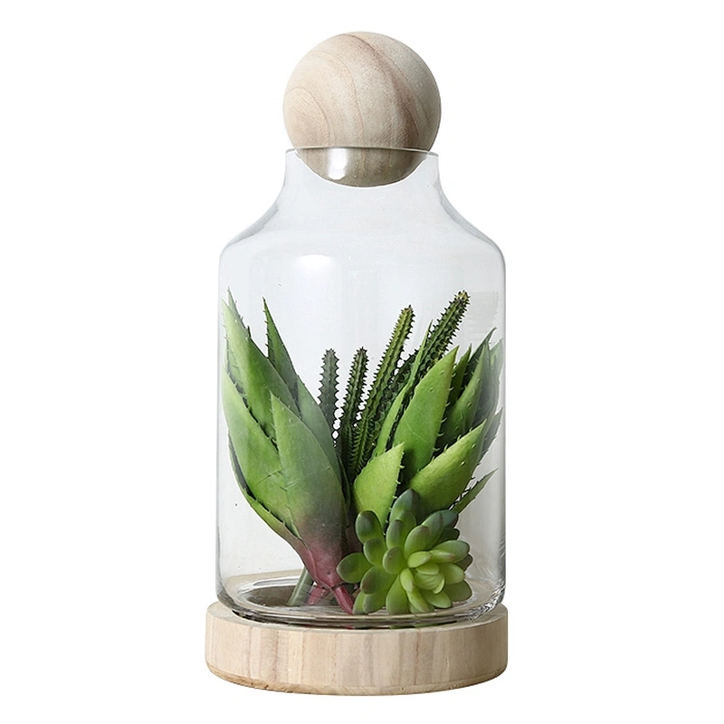 Transparent Glass Vase with Cement Bottom For Decoration
