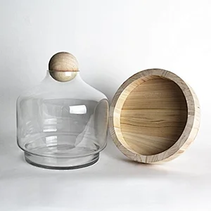 Transparent Glass Vase with Cement Bottom For Decoration