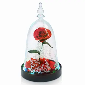 2018 Wholesale New Product Preserved Rose In Cloche Glass Dome With Wooden Base